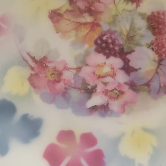 Thomas Sevrus Bavaria Plate Leuchtenberg, Germany Rasberries and Roses Antique - Picture 6 of 10